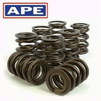 Ape Valve Spring Kit Honda CRF250R/X