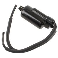 Whites Electrical Coil-12V